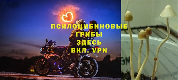 кокаин Алексеевка
