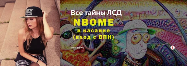 гашик Алзамай
