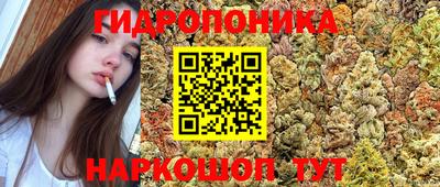 бошки Донской