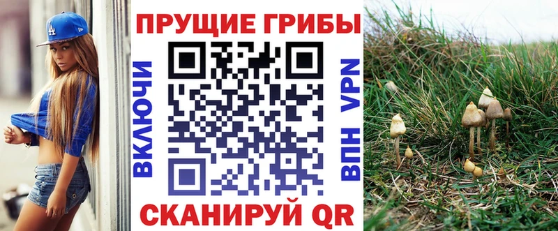 купить закладку  Орск  Псилоцибиновые грибы Psilocybine cubensis 
